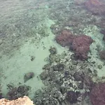 Cala Paradiso *