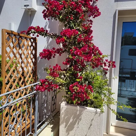 Cala Paradiso Tatil Evi