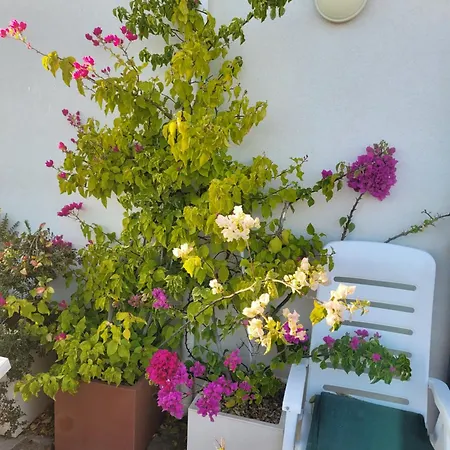 Cala Paradiso Дом отдыха *